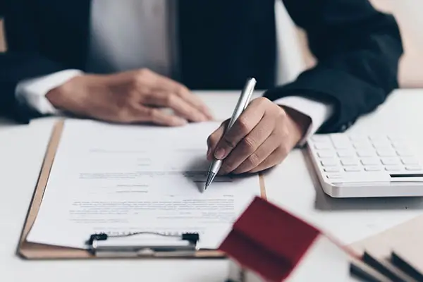 无糖小饼干的含义