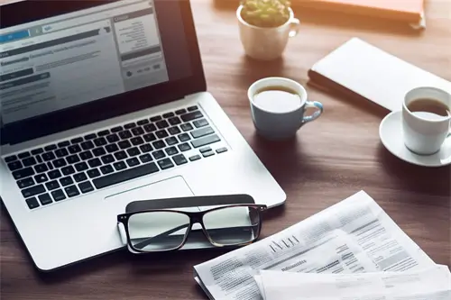 叫野良有什么含义