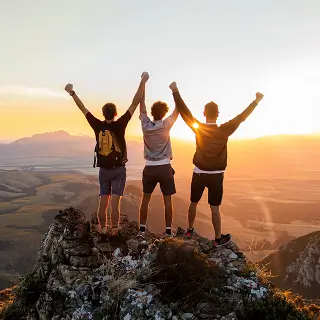 关于苦茶子的含义