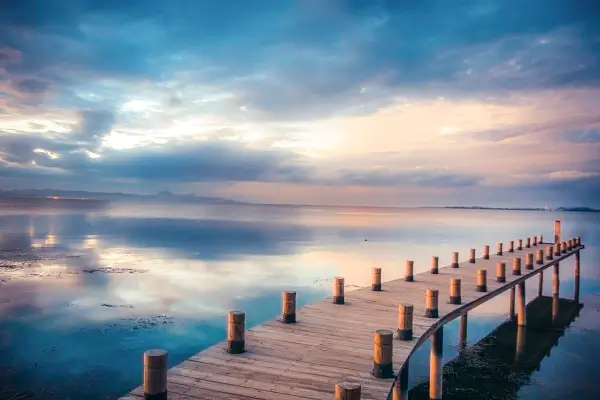 高中户口移到香港要多久