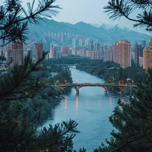 江茶的意思和含义