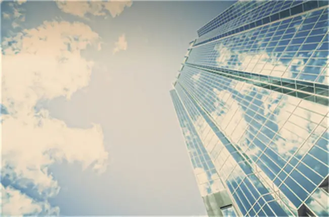 舔狗67个的含义