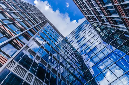 小蜜蜂的含义女生